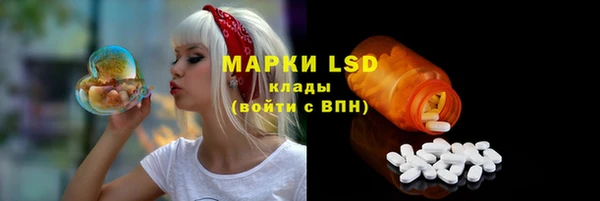 мяу мяу мука Дмитриев