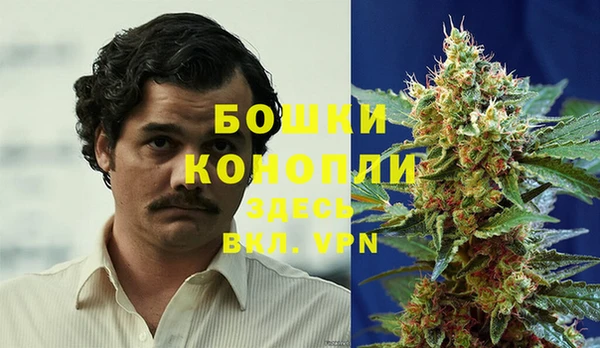 каннабис Дмитров