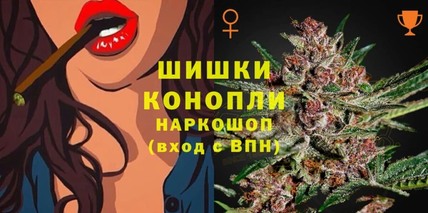 мяу мяу мука Дмитриев