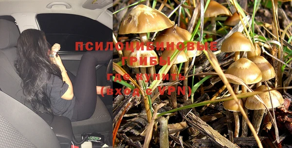 каннабис Дмитров