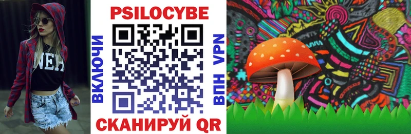 Галлюциногенные грибы Psilocybe Зубцов