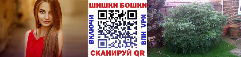 МЕГА вход  Зубцов  Конопля сатива 